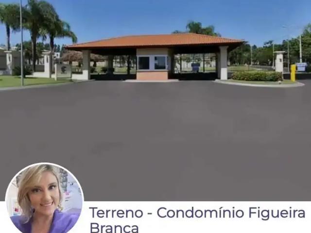 Terreno / Lote para Venda em Ribeirão Preto/SP Recreio das Acácias