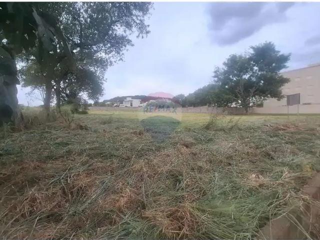 Terreno / Lote para Venda em Ribeirão Preto/SP Recreio das Acácias