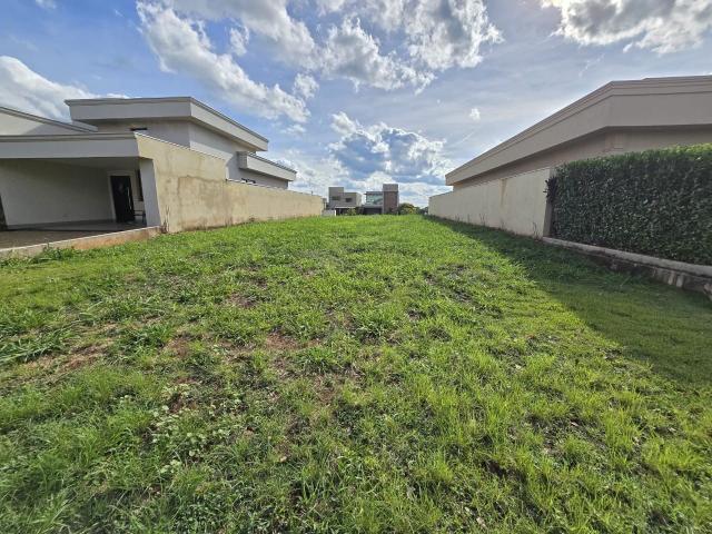 Terreno / Lote para Venda em Ribeirão Preto/SP Recreio das Acácias