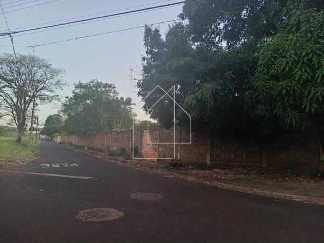 Terreno / Lote para Venda em Ribeirão Preto/SP Recreio das Acácias