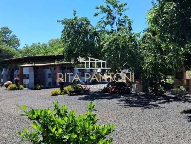 Terreno / Lote para Venda em Ribeirão Preto/SP Recreio das Acácias