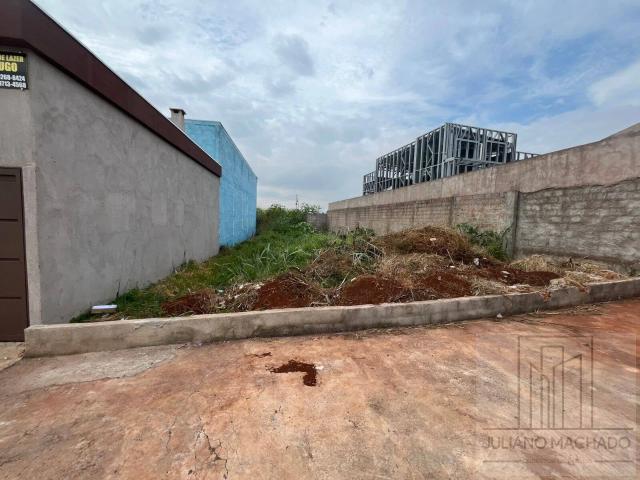 Terreno / Lote para Venda em Ribeirão Preto/SP Reserva Macaúba