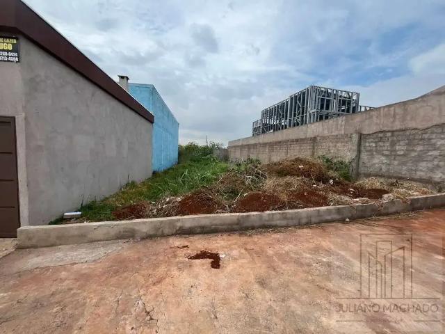 Terreno / Lote para Venda em Ribeirão Preto/SP Reserva Macaúba