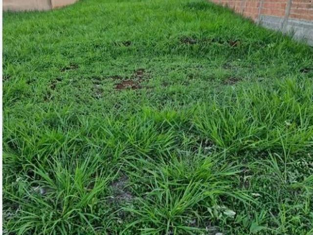 Terreno / Lote para Venda em Ribeirão Preto/SP Reserva San Pedro