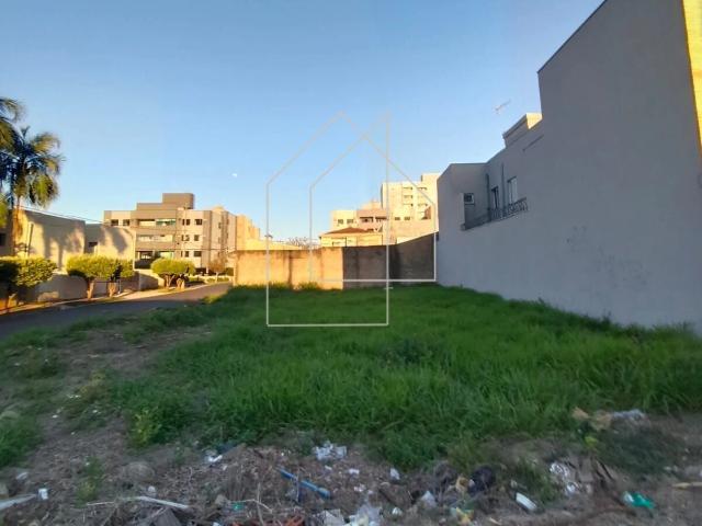 Terreno / Lote para Venda em Ribeirão Preto/SP Residencial e Comercial Palmares