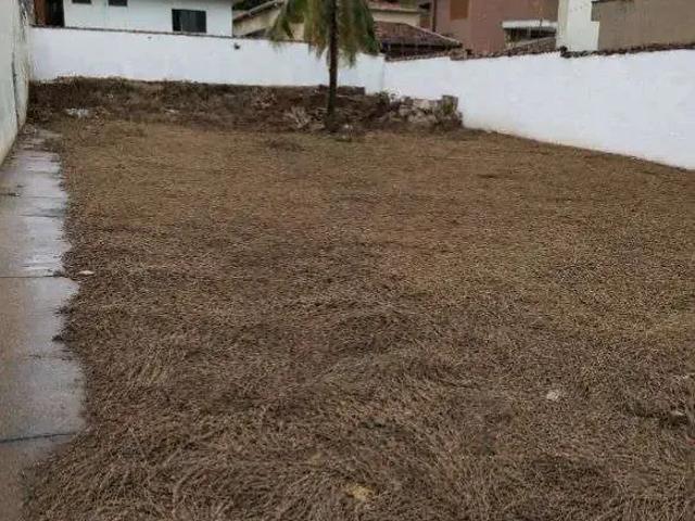 Terreno / Lote para Venda em Ribeirão Preto/SP Ribeirânia