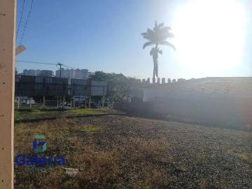 Terreno / Lote para Venda em Ribeirão Preto/SP Ribeirânia