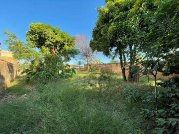 Terreno / Lote para Venda em Ribeirão Preto/SP Sumarezinho