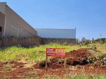 Terreno / Lote para Venda em Ribeirão Preto/SP Sítio São Bento 2