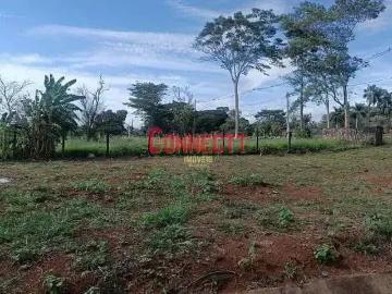 Terreno / Lote para Venda em Ribeirão Preto/SP Vila Amélia