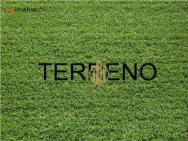 Terreno / Lote para Venda em Ribeirão Preto/SP Vila Ana Maria