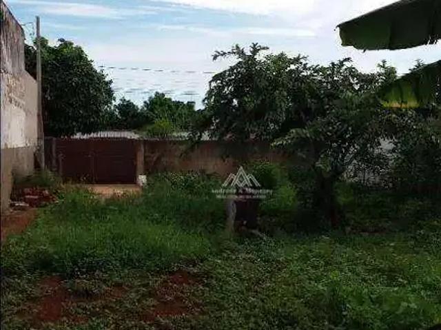 Terreno / Lote para Venda em Ribeirão Preto/SP Vila Albertina