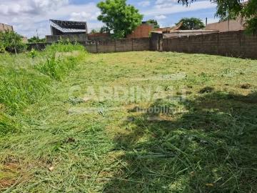 Terreno / Lote para Venda em Ribeirão Preto/SP Vila Brasil