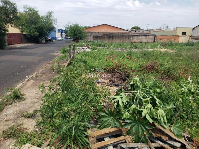 Terreno / Lote para Venda em Ribeirão Preto/SP Vila Elisa