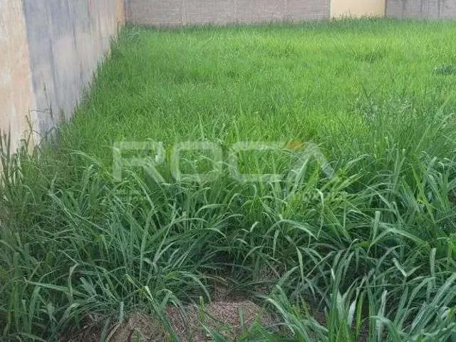 Terreno / Lote para Venda em Ribeirão Preto/SP Vila Monte Alegre