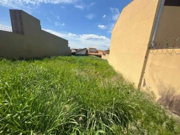 Terreno / Lote para Venda em Ribeirão Preto/SP Vila Monte Alegre