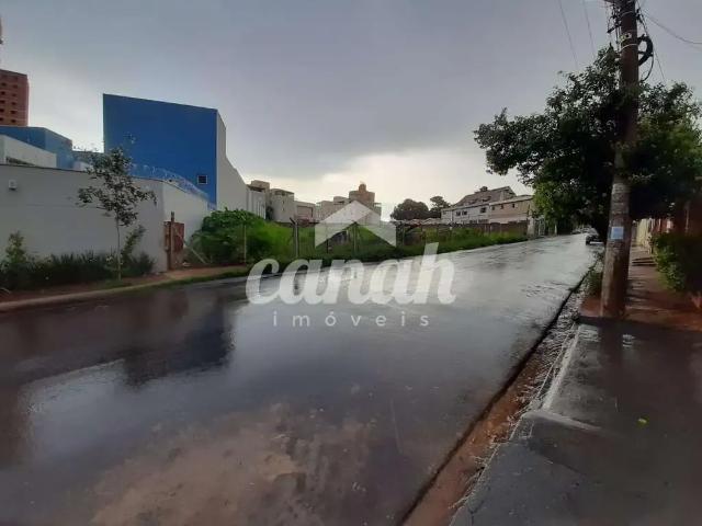 Terreno / Lote para Venda em Ribeirão Preto/SP Vila Maria Luiza