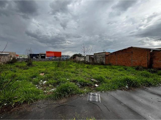 Terreno / Lote para Venda em Ribeirão Preto/SP Vila Mariana