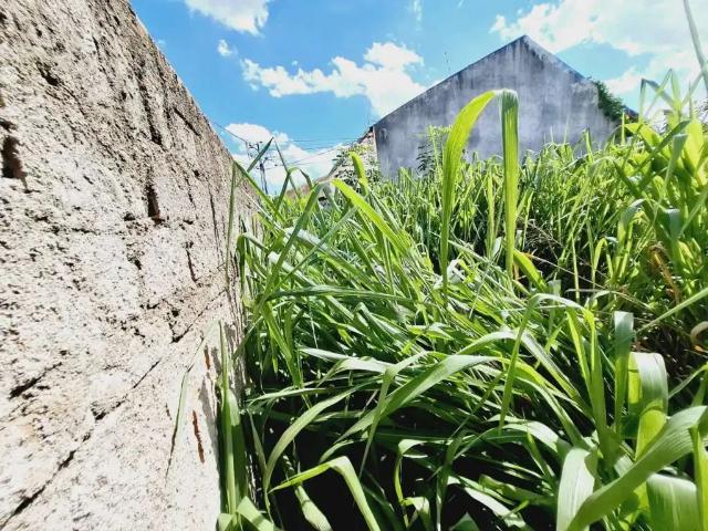 Terreno / Lote para Venda em Ribeirão Preto/SP Vila Tibério