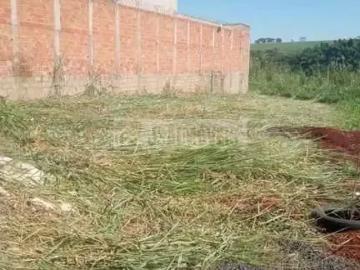Terreno / Lote para Venda em Ribeirão Preto/SP Vila Virgínia