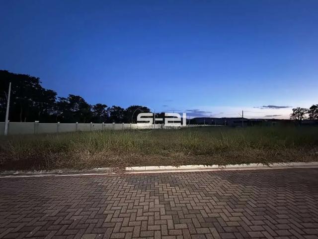 Terreno / Lote para Venda em Rifaina/SP Centro