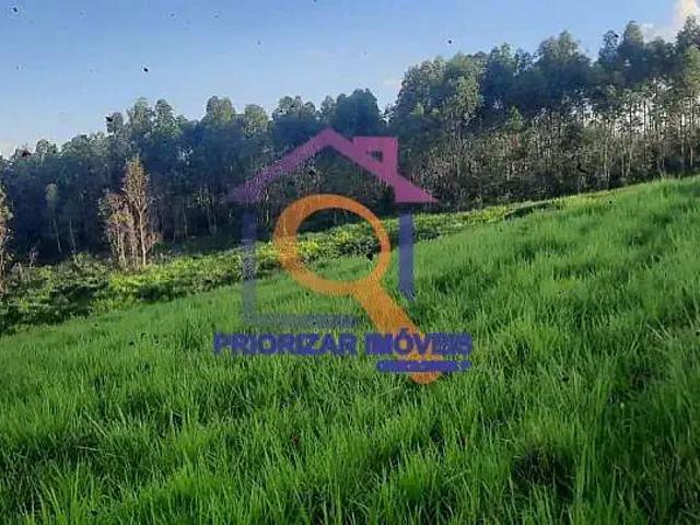 Terreno / Lote para Venda em Ritápolis/MG Zona Rural