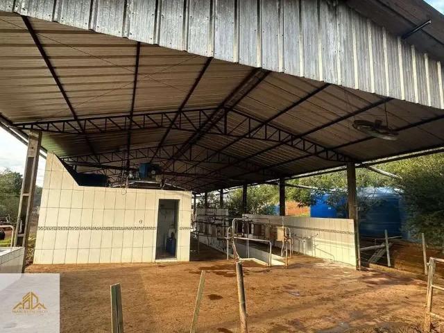 Terreno / Lote para Venda em Romelândia/SC Centro