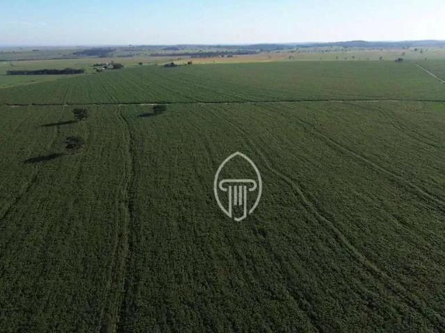 Terreno / Lote para Venda em Rondon/PR Jardim Progresso I