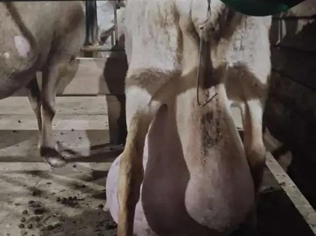 Terreno / Lote para Venda em Roca Sales/RS Zona Rural