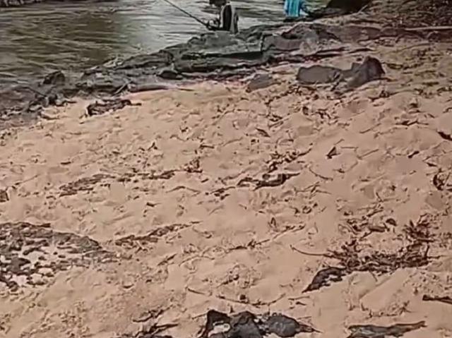 Terreno / Lote para Venda em Rochedo/MS Zona Rural