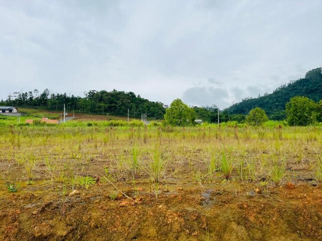 Terreno / Lote para Venda em Rodeio/SC Rodeio 12