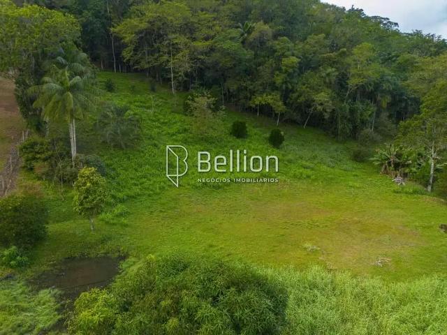 Terreno / Lote para Venda em Rodeio/SC São Pedro Novo