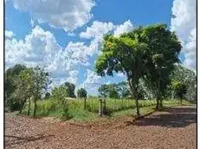 Terreno / Lote para Venda em Rolador/RS Centro