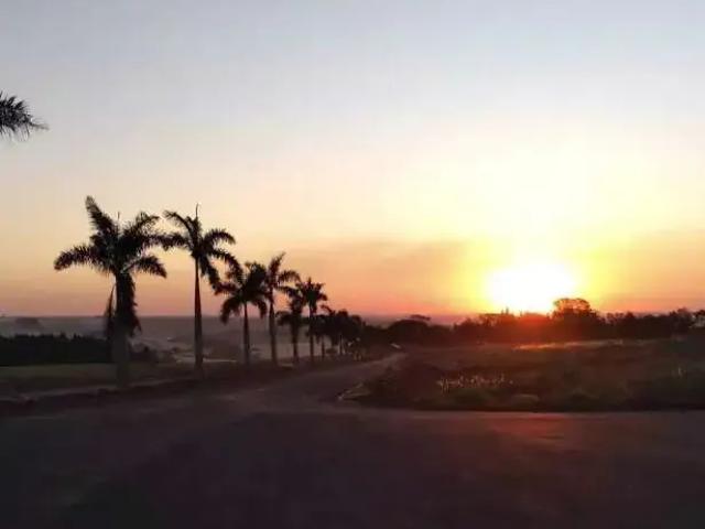 Terreno / Lote para Venda em Rolândia/PR Centro