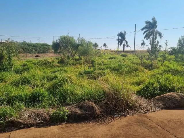 Terreno / Lote para Venda em Rolândia/PR Centro
