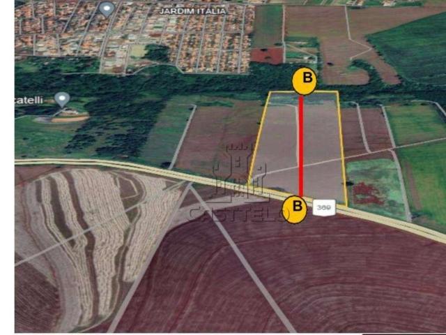 Terreno / Lote para Venda em Rolândia/PR Centro