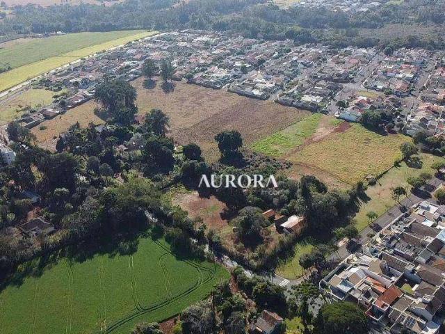 Terreno / Lote para Venda em Rolândia/PR Jardim Capricórnio