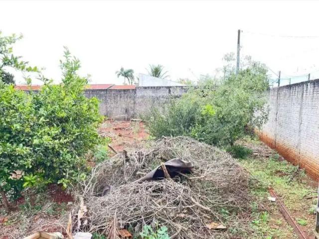Terreno / Lote para Venda em Rolândia/PR Vila Oliveira