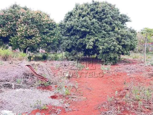 Terreno / Lote para Venda em Rolândia/PR Vila Oliveira