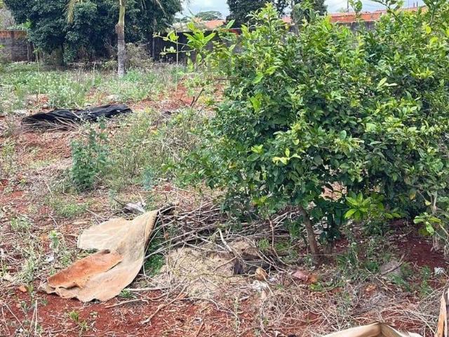 Terreno / Lote para Venda em Rolândia/PR Vila Oliveira