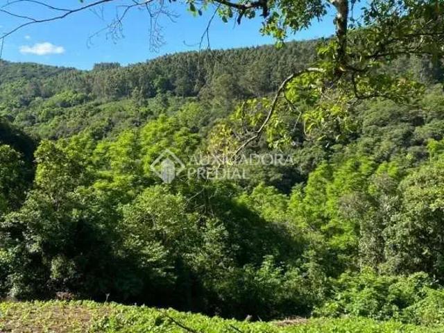 Terreno / Lote para Venda em Rolante/RS Areia