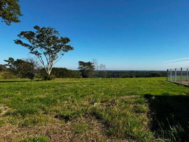 Terreno / Lote para Venda em Rosana/SP Centro