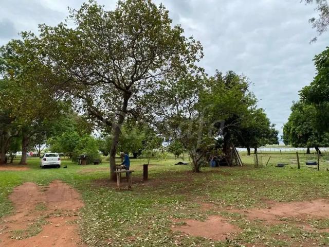Terreno / Lote para Venda em Rubinéia/SP Centro