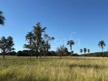 Terreno / Lote para Venda em Rubinéia/SP Zona Rural