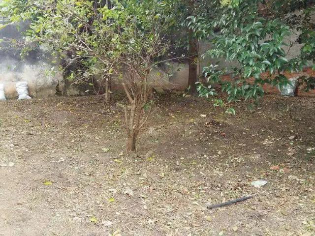 Terreno / Lote para Venda em São Caetano do Sul/SP Nova Gerty