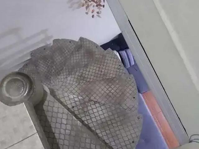Terreno / Lote para Venda em São Caetano do Sul/SP Osvaldo Cruz