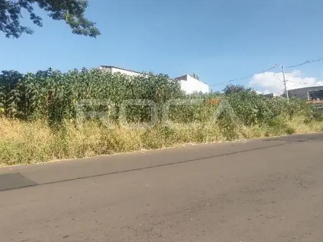 Terreno / Lote para Venda em São Carlos/SP Cidade Aracy