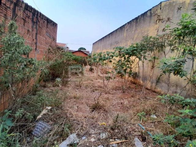Terreno / Lote para Venda em São Carlos/SP Cidade Aracy