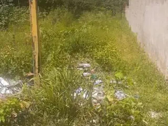Terreno / Lote para Venda em São Carlos/SP Cidade Aracy