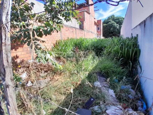 Terreno / Lote para Venda em São Carlos/SP Cidade Aracy